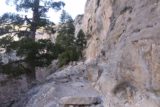 Mt_Charleston_052_04222017 - Beyond the last switchback on the Mary Jane Falls Trail, I found myself hiking alongside the base of some tall and vertical cliffs