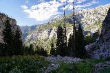 Mt_Charleston_125_08112020 - Looking away from the base of Mary Jane Falls towards the Kyle Canyon as seen in August 2020