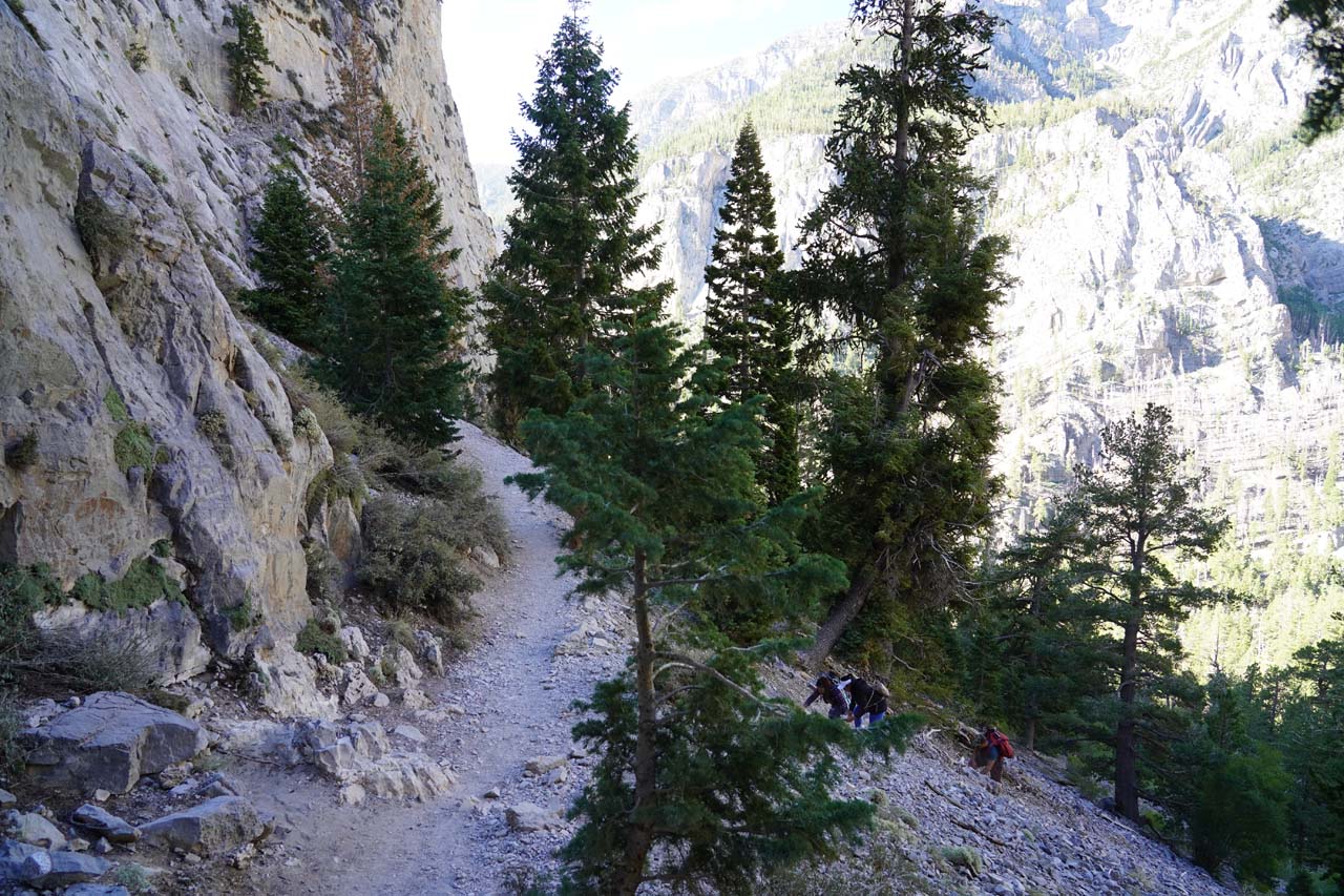 Context of some hikers who opted to shortcut a switchback from the Mary Jane Falls Trail on a dangerously steep slope while also kicking down rocks onto the unsuspecting hikers below