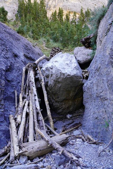 Mt_Charleston_248_08112020 - This was the imposing boulder obstacle that turned me back in search of a detour to get around it