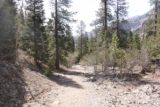 Mt_Charleston_270_04222017 - Finally making it down to the flatter part of the Mary Jane Falls Trail after descending all those switchbacks on my late April 2017 hike