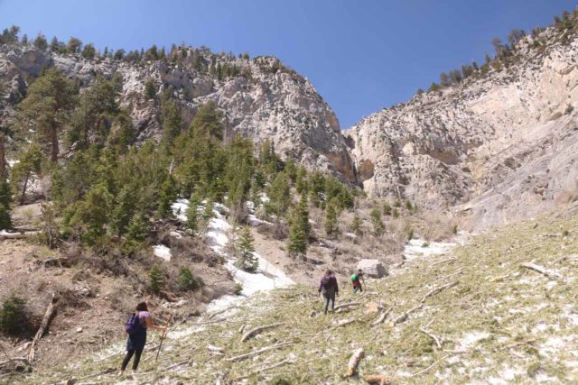 Mt_Charleston_353_04222017 - Following this group of folks who also decided to spontaneously pursue what I'm calling the 'Medium Falls'