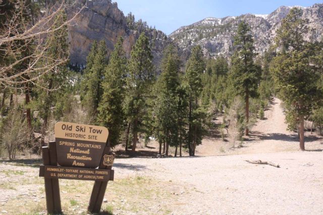 Mt_Charleston_376_04222017 - When I returned from the 'Medium Falls' I somehow found myself near this sign for the Old Ski Tow, which was actually by a different parking lot and trailhead than the Echo Trailhead that I had started from