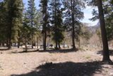 Mt_Charleston_382_04222017 - Looking back towards the Echo Trailhead as I pursued the Little Falls during my late April 2017 adventure.  This photo and the rest of the photos in this gallery were taken from that trip