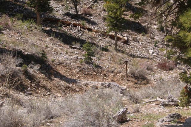 Mt_Charleston_387_04222017 - Looking across the wash at an easy-to-miss sign near the Echo Trailhead, which led me in the direction of Little Falls