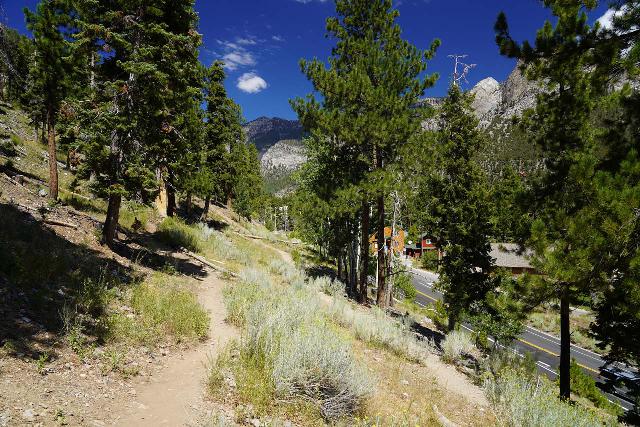 Mt_Charleston_388_08112020 - Following the trail to Little Falls as it skirted along Kyle Canyon Road down below as seen on the approach from the Cathedral Rock Trailhead