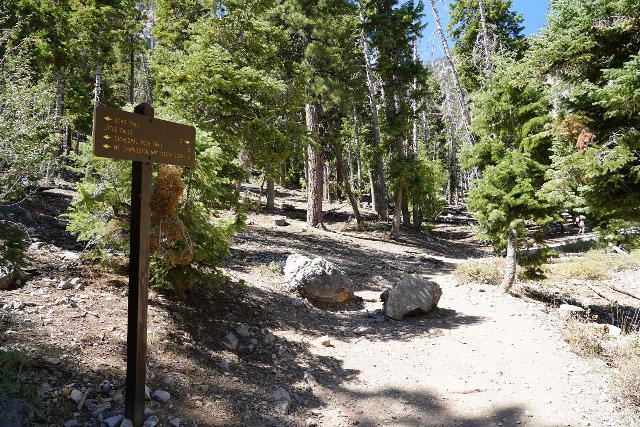 Mt_Charleston_400_08112020 - This sign at the trail junction with the Echo Trail was the only mention that I saw of Little Falls during my hike in August 2020