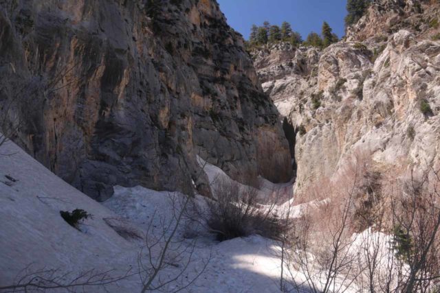 Mt_Charleston_410_04222017 - I had to deal with a lot of snow as I was scrambling closer to Little Falls