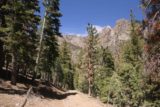 Mt_Charleston_455_04222017 - Back on drier terrain as I was making the downhill hike back to the Echo Trailhead after having had my fill of Little Falls in late April 2017