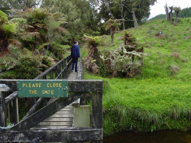 Mt_Damper_Falls_004_11172004