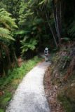 Mt_Damper_Falls_005_01062010 - More developed walkway than last time