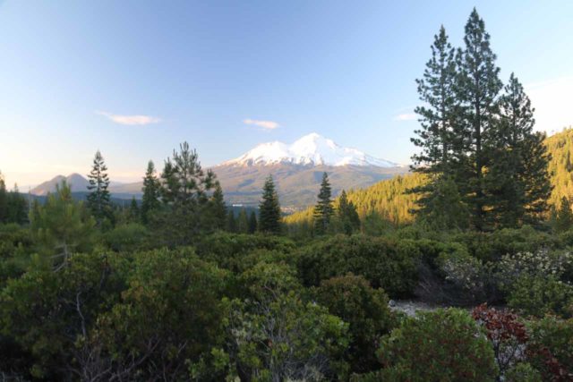 Mt_Shasta_093_06192016 - Potem Fallsからマウントシャスタまでだいたい車で90分くらいでした。 が、滝や見どころがまとまっているところが多いので、ドライブを中断して楽しむことができました