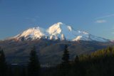 Mt_Shasta_135_06192016 - Starting to enjoy the views of Mt Shasta in the late afternoon alongside Crystal Lake Road