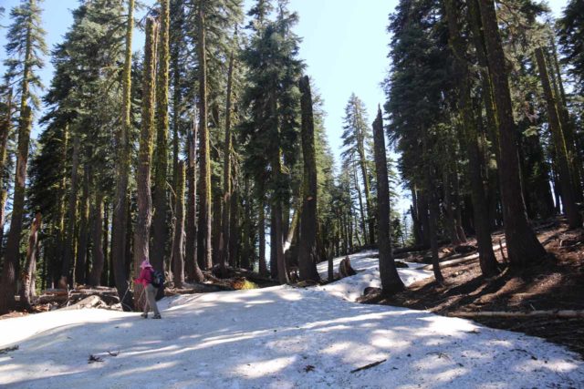 Mud_Creek_Falls_018_06202016 - Mom traversing some large snow patches where it was real easy to lose the trail en route to the Mud Creek Falls view