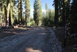Mud_Creek_Falls_107_06202016 - Now it was time to go back onto the rough forest service roads as we were to make our way back to the paved Pilgrim Creek Road and ultimately Hwy 89