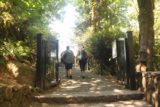 Multnomah_Falls_17_014_08162017 - Starting the walk up to the Benson Bridge from the base of Multnomah Falls