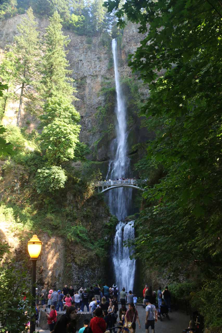 Multnomah Falls in the Summer
