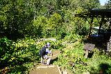 Munduk_021_06202022 - Mom descending towards the Golden Valley Waterfall Eco Cafe