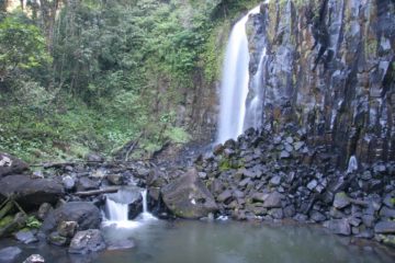 Mungalli Falls was one of the prettier and taller waterfalls we had seen amongst the plethora of waterfalls found amidst the Atherton Tablelands near Millaa Millaa.  This one dropped in three...
