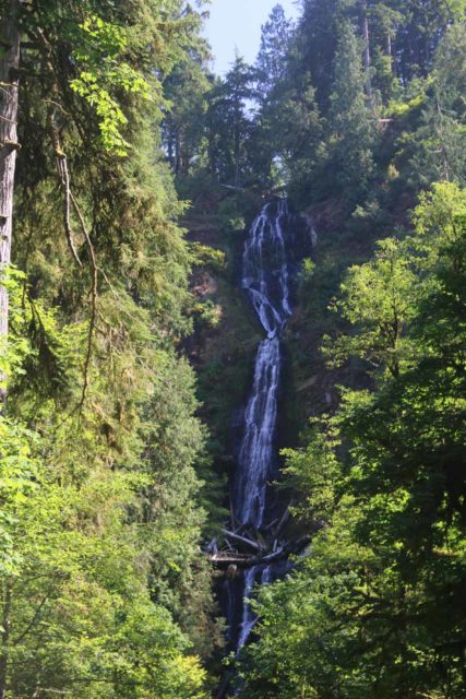 Munson_Creek_Falls_025_08172017 - Munson Creek Falls in late Summer flow