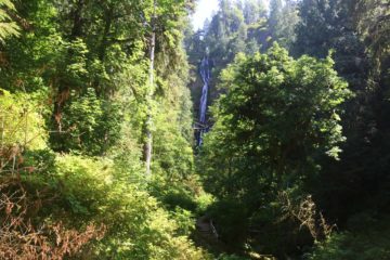 Munson Creek Falls was probably most significant waterfall in the vicinity of the Oregon Coast that we've encountered.  Tumbling over three visible tiers, it was said to have a cumulative...