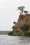 Murchison_Falls_178_06142008 - Some of the short cliffs bordering the Victoria Nile