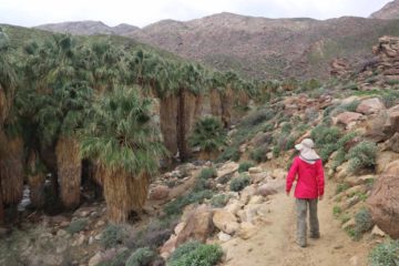 Murray_Canyon_029_02112017