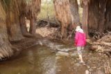 Murray_Canyon_048_02112017 - Julie traversing the second stream crossing of Murray Creek
