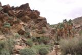 Murray_Canyon_078_02112017 - Hiking amongst more interesting rock formations along Murray Canyon