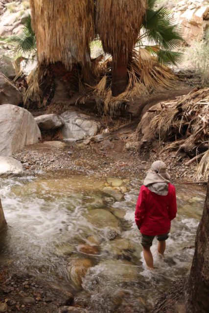 Unexpected high water conditions on our hike to Murray Canyon Falls near Palm Springs made me wish I had worn my Keen Arroyo II shoes instead of ruining my hiking boots