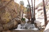 Murray_Canyon_162_02112017 - Contextual look at the main Murray Canyon Falls adorned with some California Fan Palm Trees