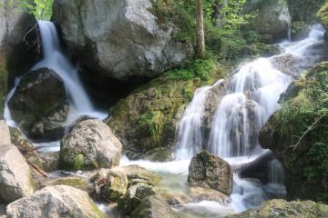 Myrafalle_149_07092018