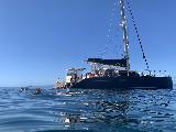 Na_Pali_Cruise_034_iPhone_11212021 - Looking back towards our catamaran while snorkeling off the Na Pali Coast