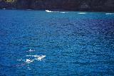 Na_Pali_Cruise_059_11212021 - Still more dolphins swimming around our catamaran along the Na Pali Coast