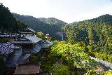 Nachi_016_04092023 - More contextual look at the Nachi Falls from the Seiganto-ji Complex