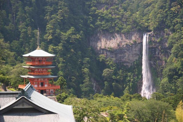 The Nachi Waterfall and the Kumano Nachi Taisha Shrine, where you can get both Nature and the holiness of a UNESCO World Heritage site in one place, are a short bus ride from the Hotel Urashima