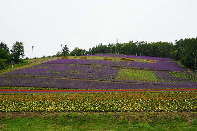 Nakafurano_001_07142023 - It was about a 90-minute drive between the Nakafurano Lavender Fields and the Chidorigataki Waterfall
