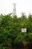 Namegawa_066_07212023 - Context of the power pylon and signage at the Namekawa Great Falls Lookout