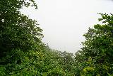 Namegawa_082_07212023 - Still foggy when I got back to the Namekawa Great Falls Lookout