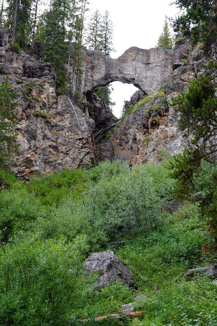 Natural_Bridge_049_08012020 - Looking up through the Natural Bridge with wet rocks beneath its span where Bridge Creek cascaded into the thick bush below