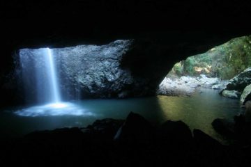 The Natural Bridge was an unusual feature of Springbrook National Park in that Cave Creek actually spilled into a hole and emerged from the dark cave within through its opening.  The combination of...