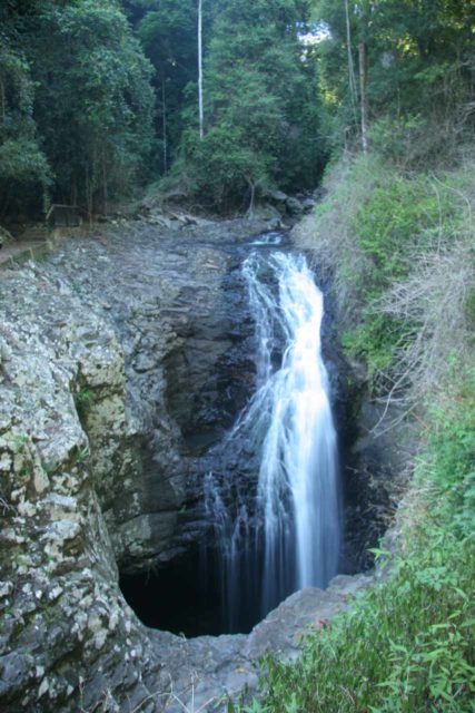 Natural_Bridge_Springbrook_095_05092008