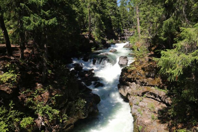 Natural_Bridge_rogue_008_07152016 - Looking upstream at one of the cascades on the Rogue River just downstream from the Natural Bridge