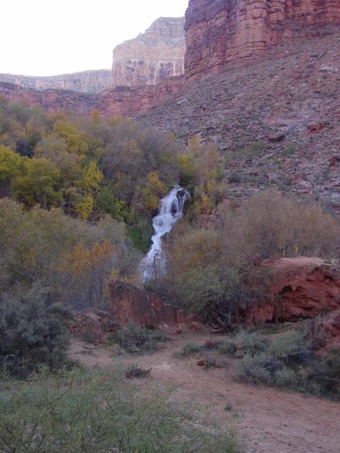 Navajo_Falls_005_11292002 - Context of Navajo Falls