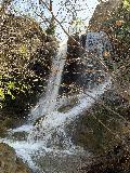 Newton_Canyon_Falls_002_iPhone_03182023 - An iPhone look at the Newton Canyon Falls