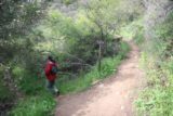 Newton_Canyon_Falls_004_03072010 - Purposefully disobeying the Backbone Trail sign