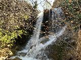 Newton_Canyon_Falls_004_iPhone_03182023 - Broad look at the Newton Canyon Falls as seen through an iPhone