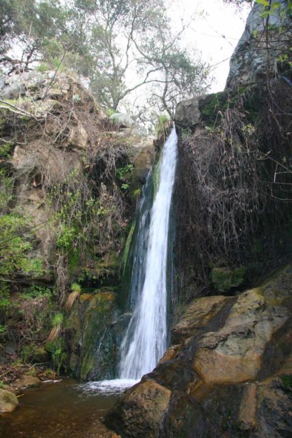 Newton_Canyon_Falls_007_03072010 - Newton Canyon Falls