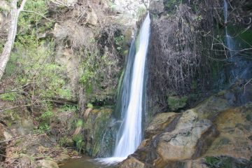Newton Canyon Falls was one of those waterfalls that somehow eluded us many years ago on our first attempt.  But after finding it recently, we wondered how on earth we managed to miss it...