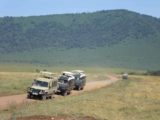 Ngorongoro_034_jx_06112008 - Lots of safari vehicles pulled over for an animal sighting
